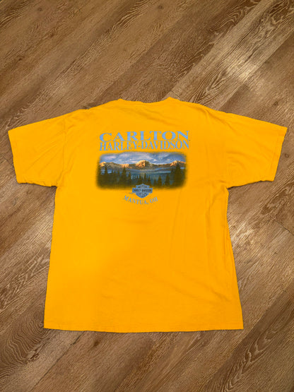 2002 Harley Davidson Eagle Tee (L)