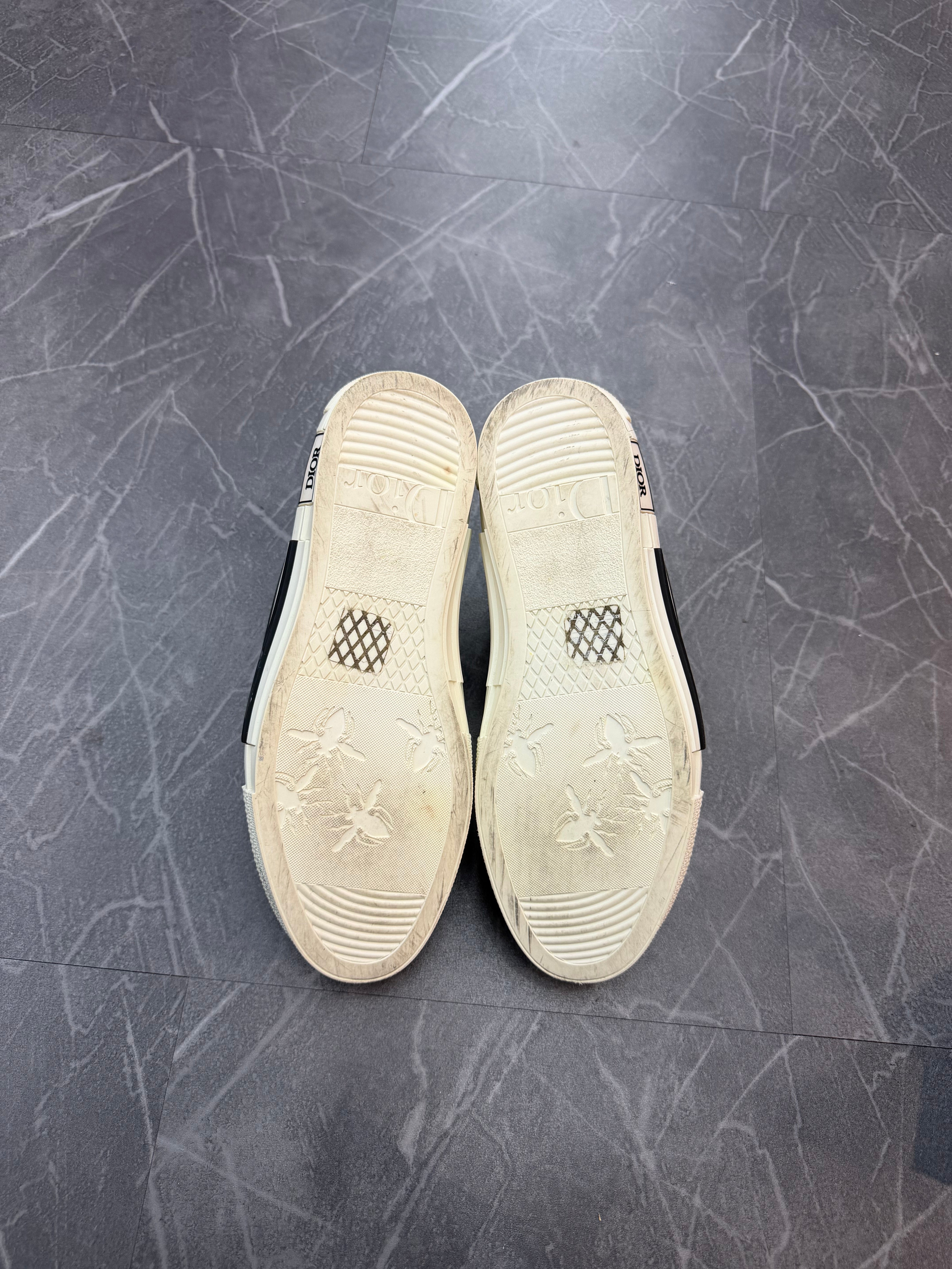 Dior B23 Hightop “Oblique”