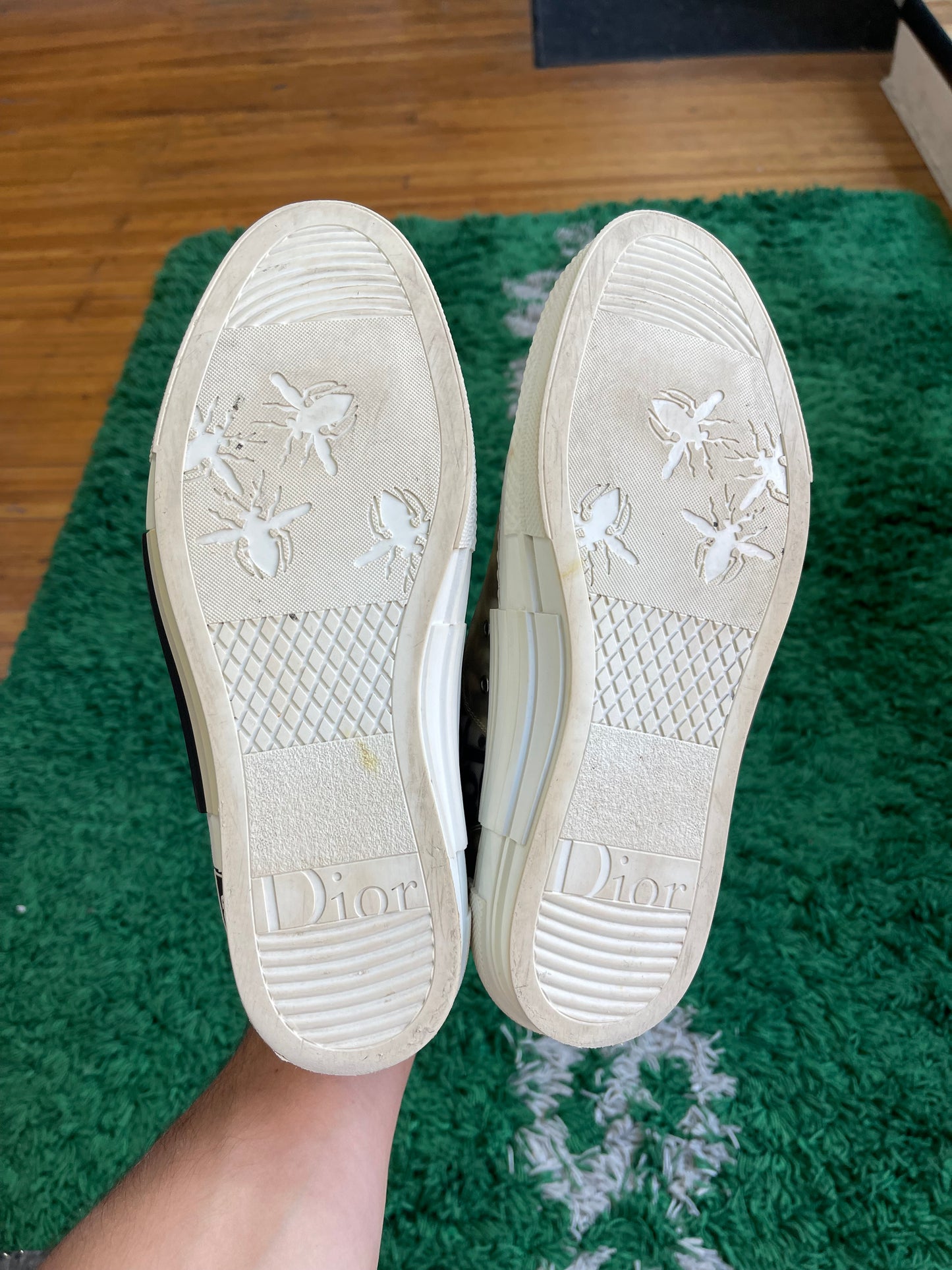 Dior B23 High Oblique “Cream”