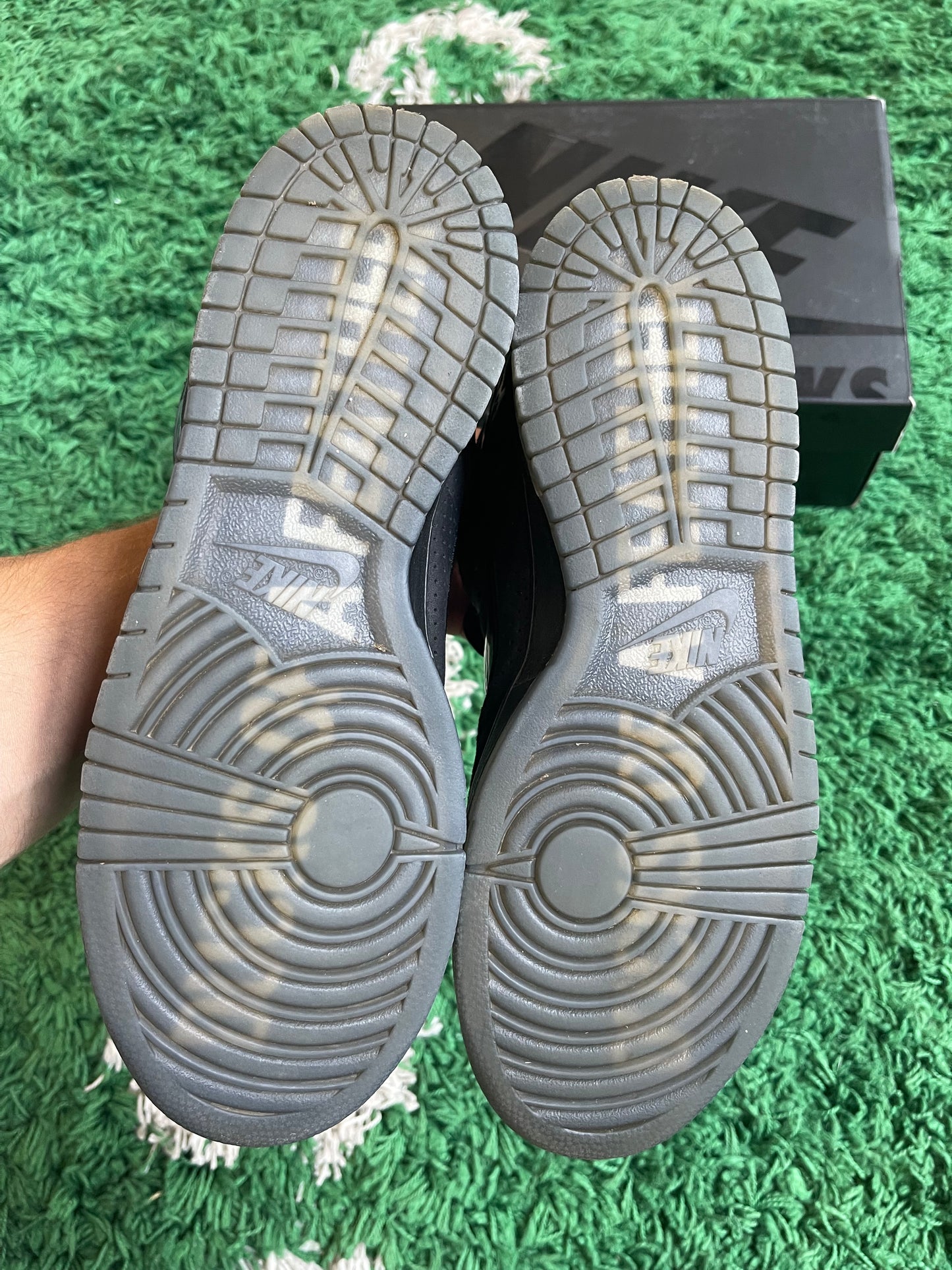 Nike Dunk Low “Oregon PE Duck of a Feather”