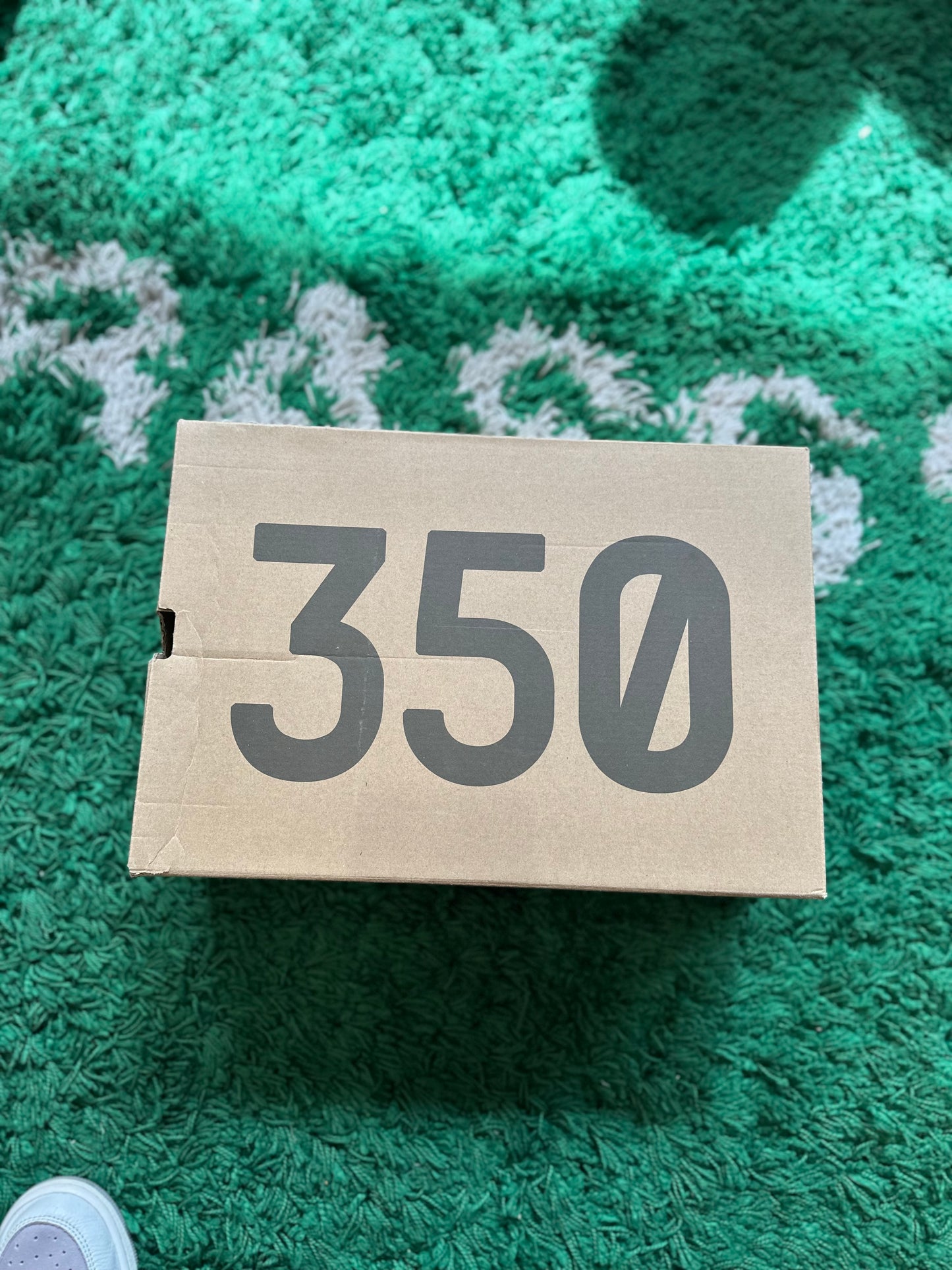 Yeezy 350 “Earth”