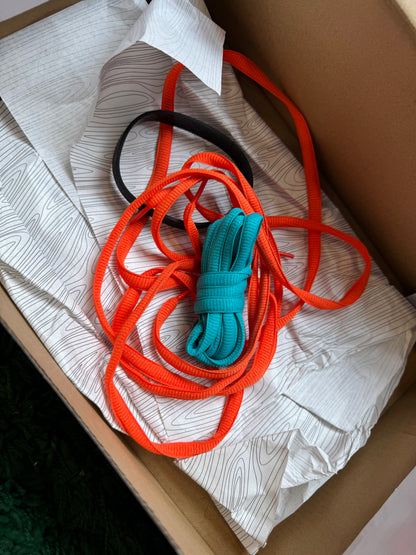 Nike Dunk Low SB “Orange Lobster”