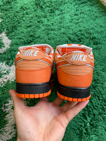 Nike Dunk Low SB “Orange Lobster”