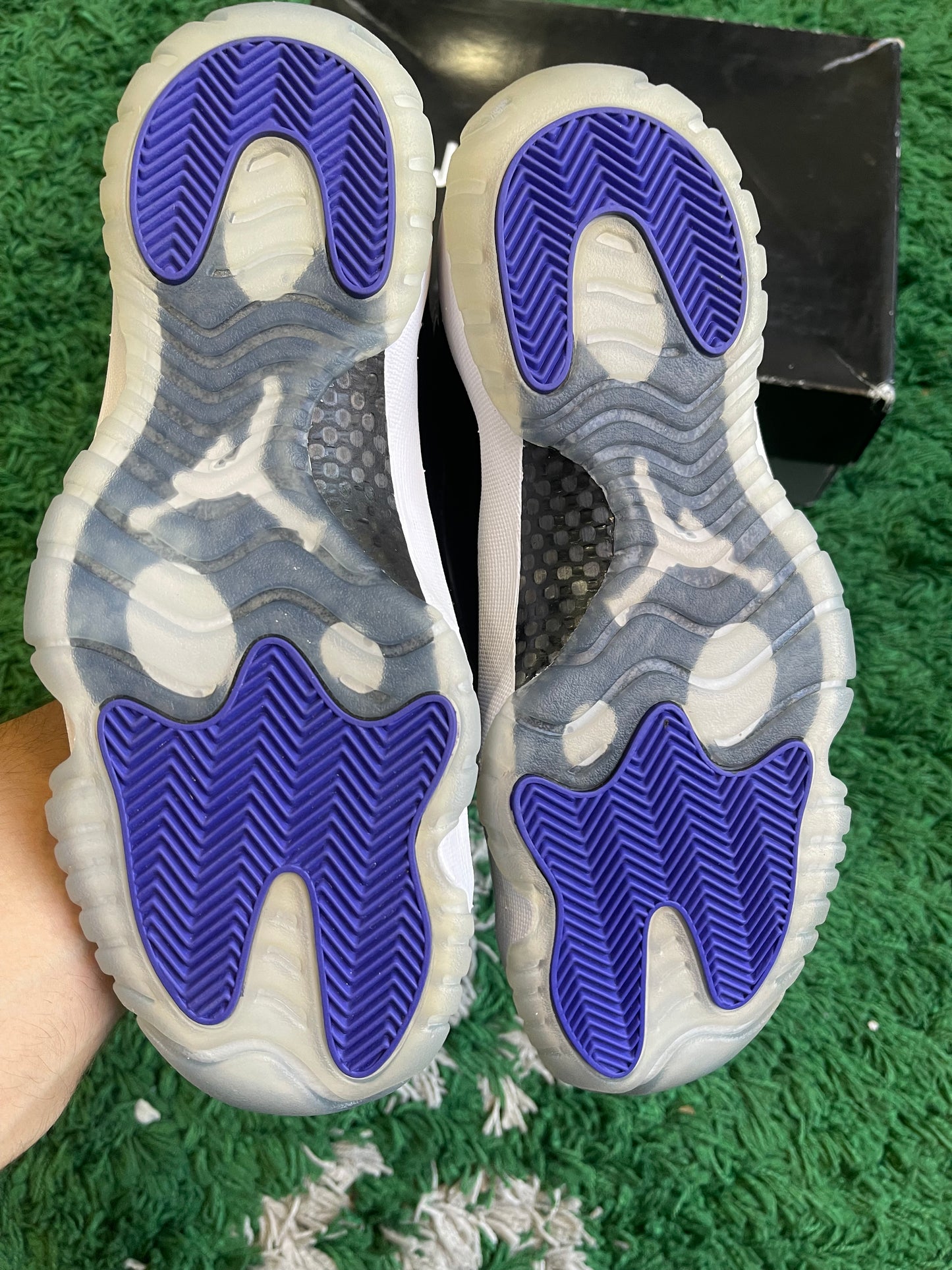 Jordan 11 “Concord” (2018)