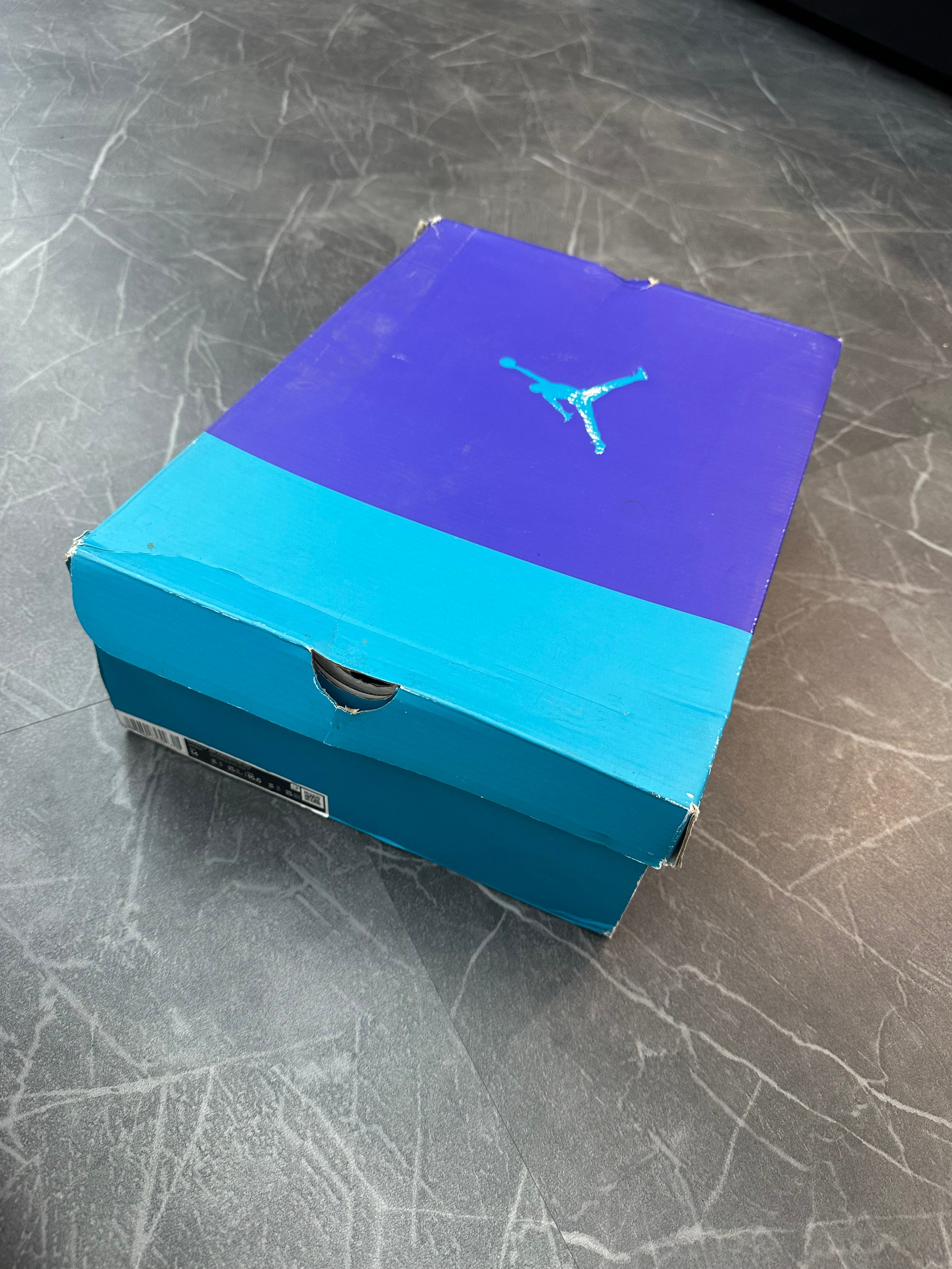 Jordan 6 “Aqua”