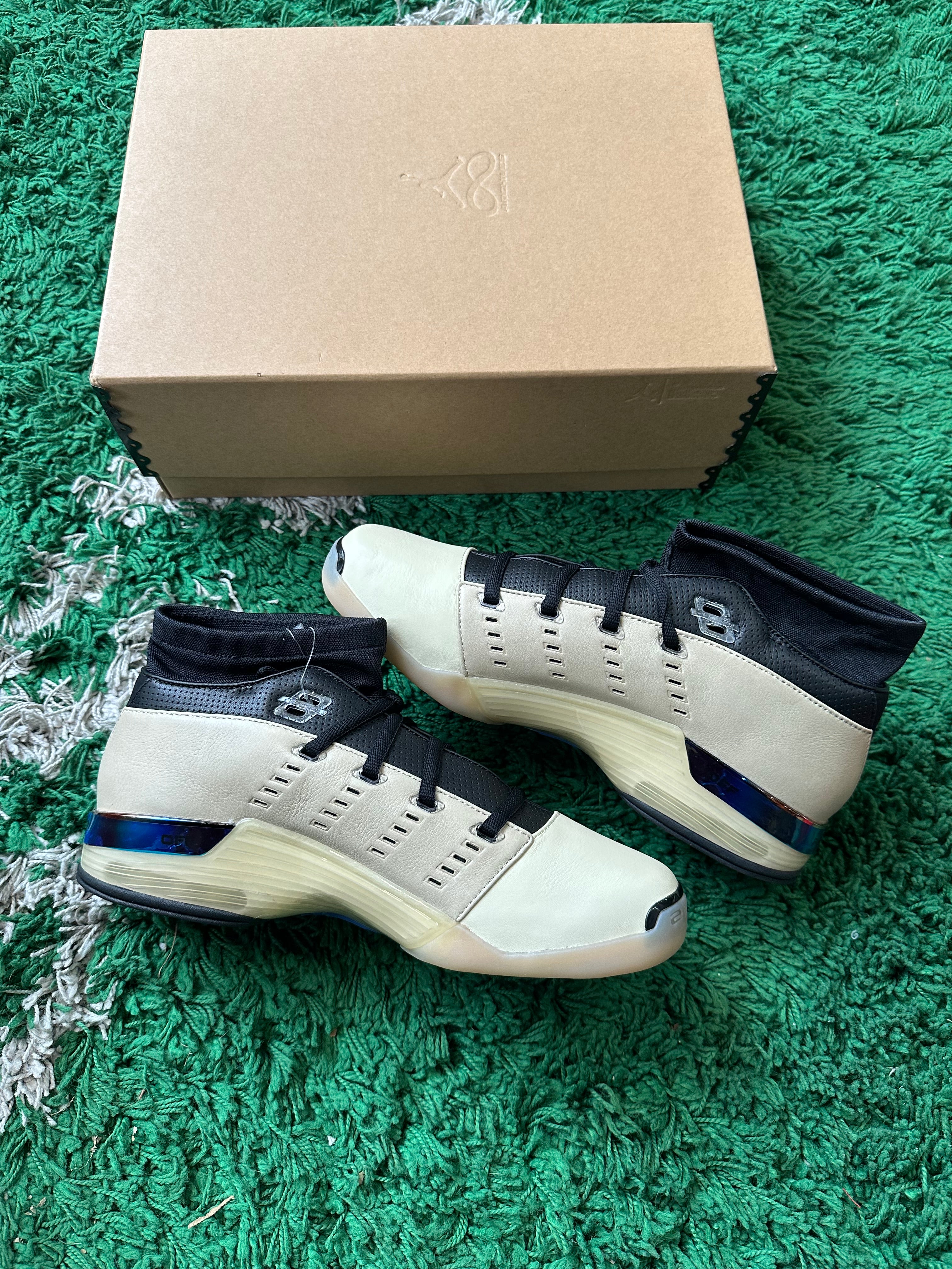 Jordan 17 “Infinite Archives”