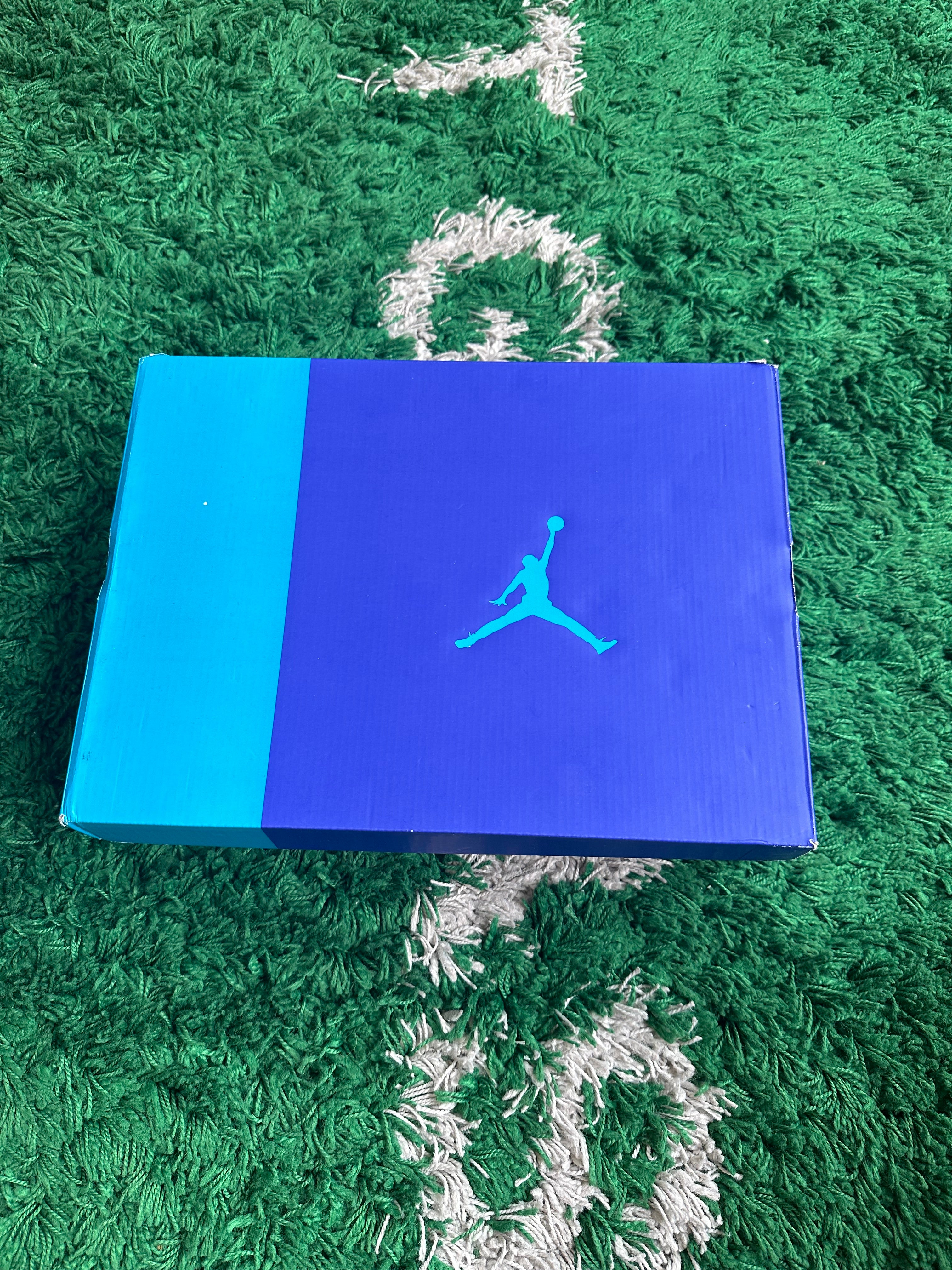 Jordan 6 “Aqua”