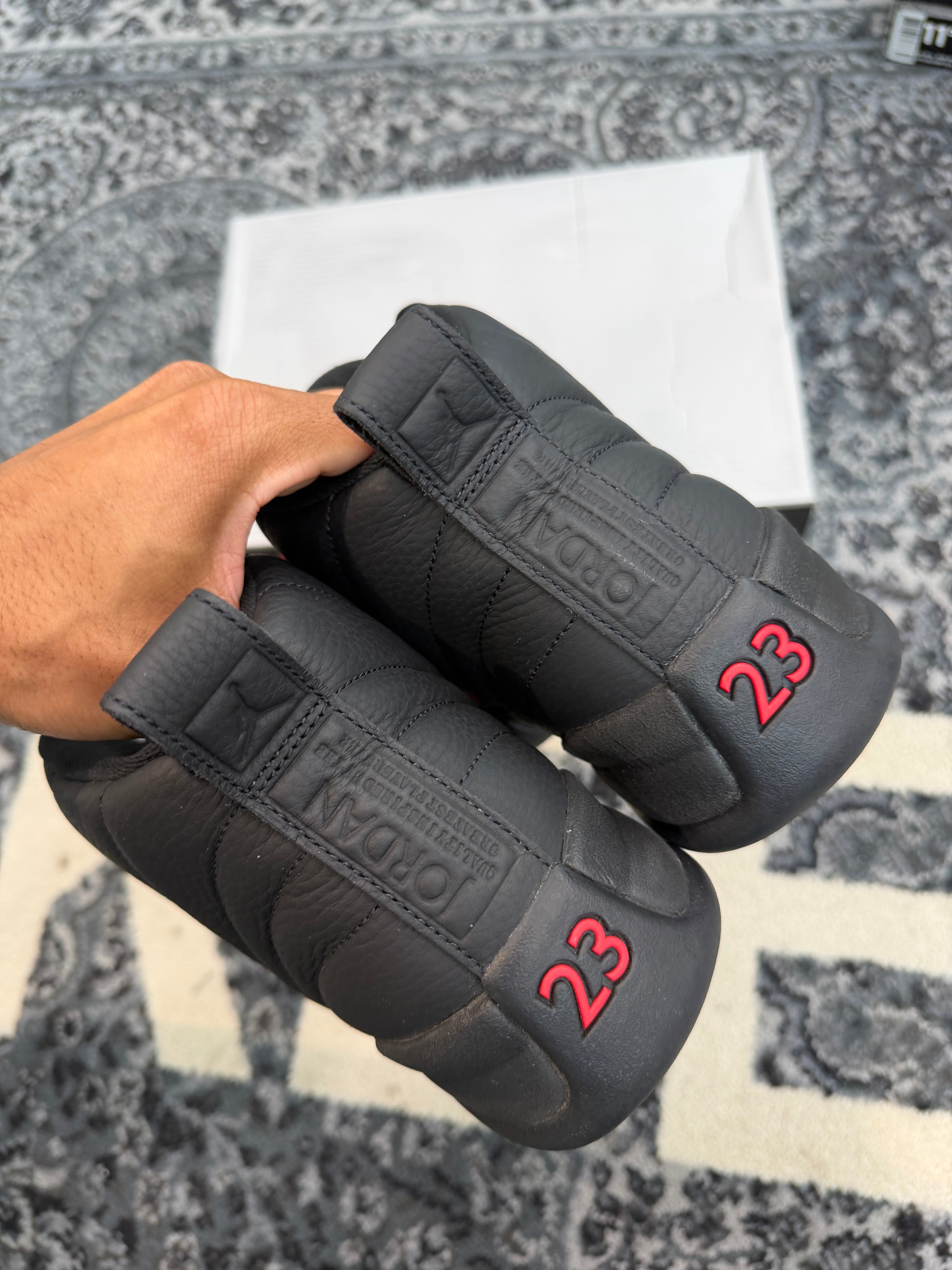 Jordan 12 “Bloodlines”