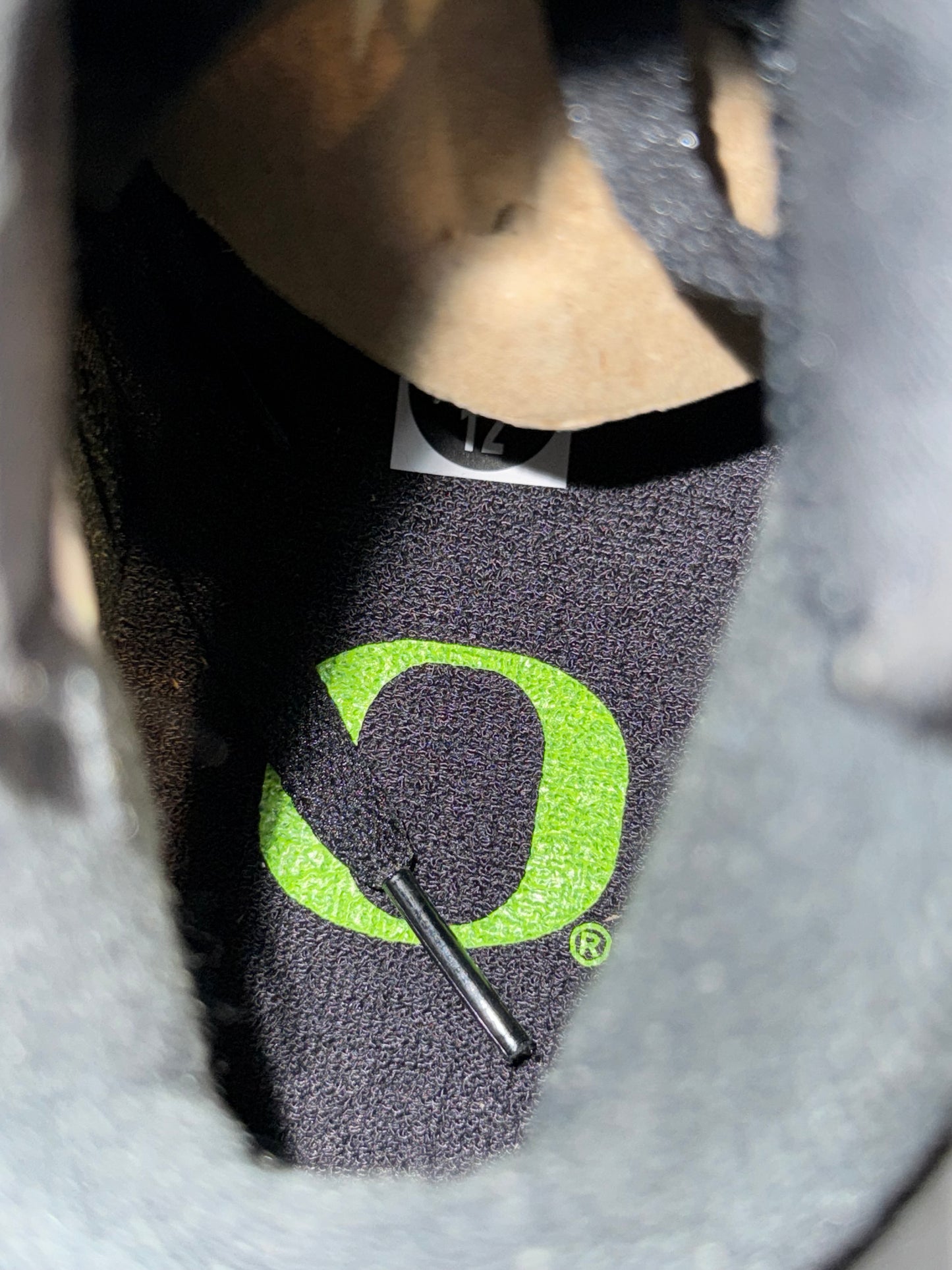 Jordan 6 PE Oregon “Stealth Ducks”