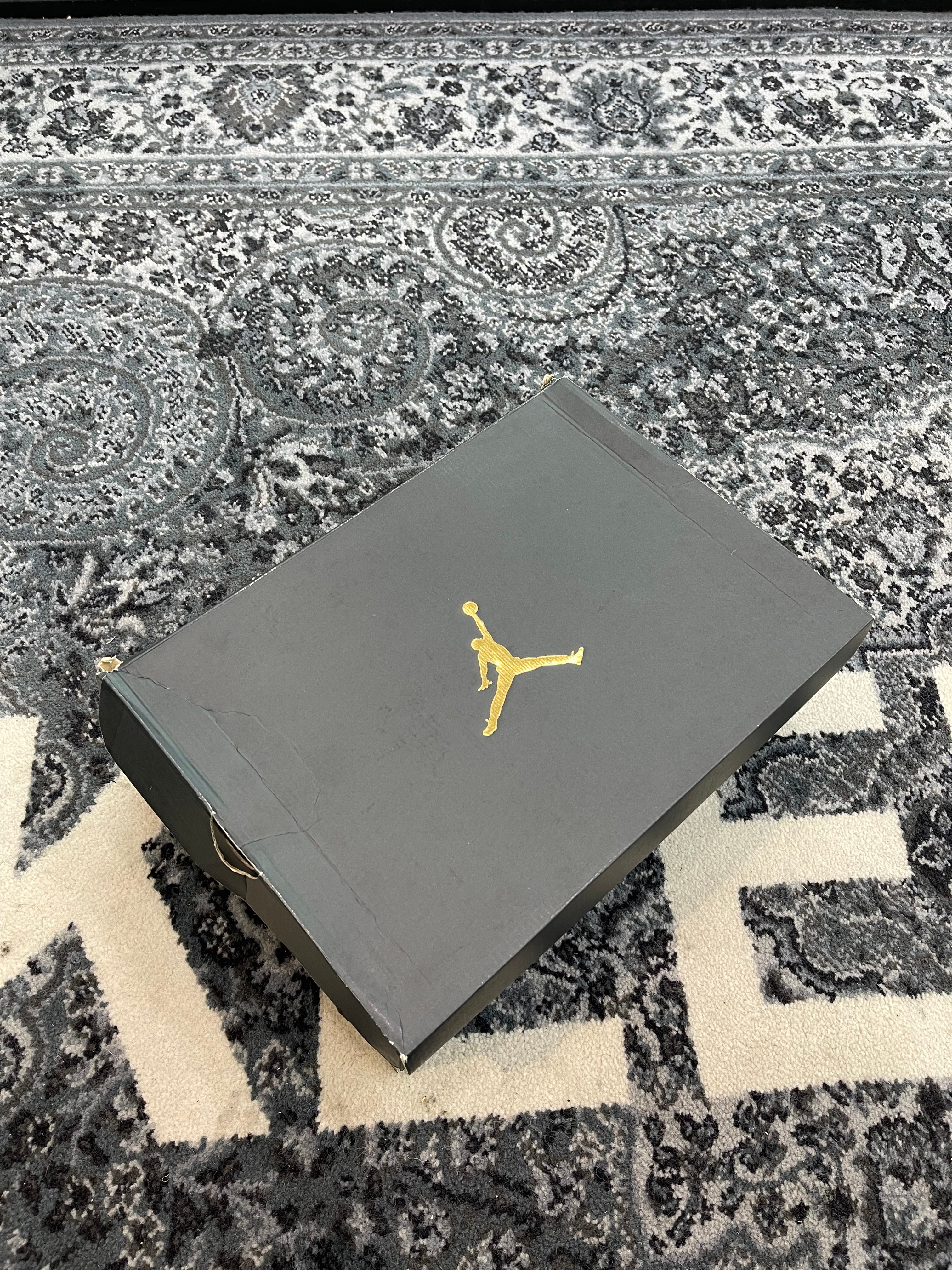 Jordan 10 “Rio”