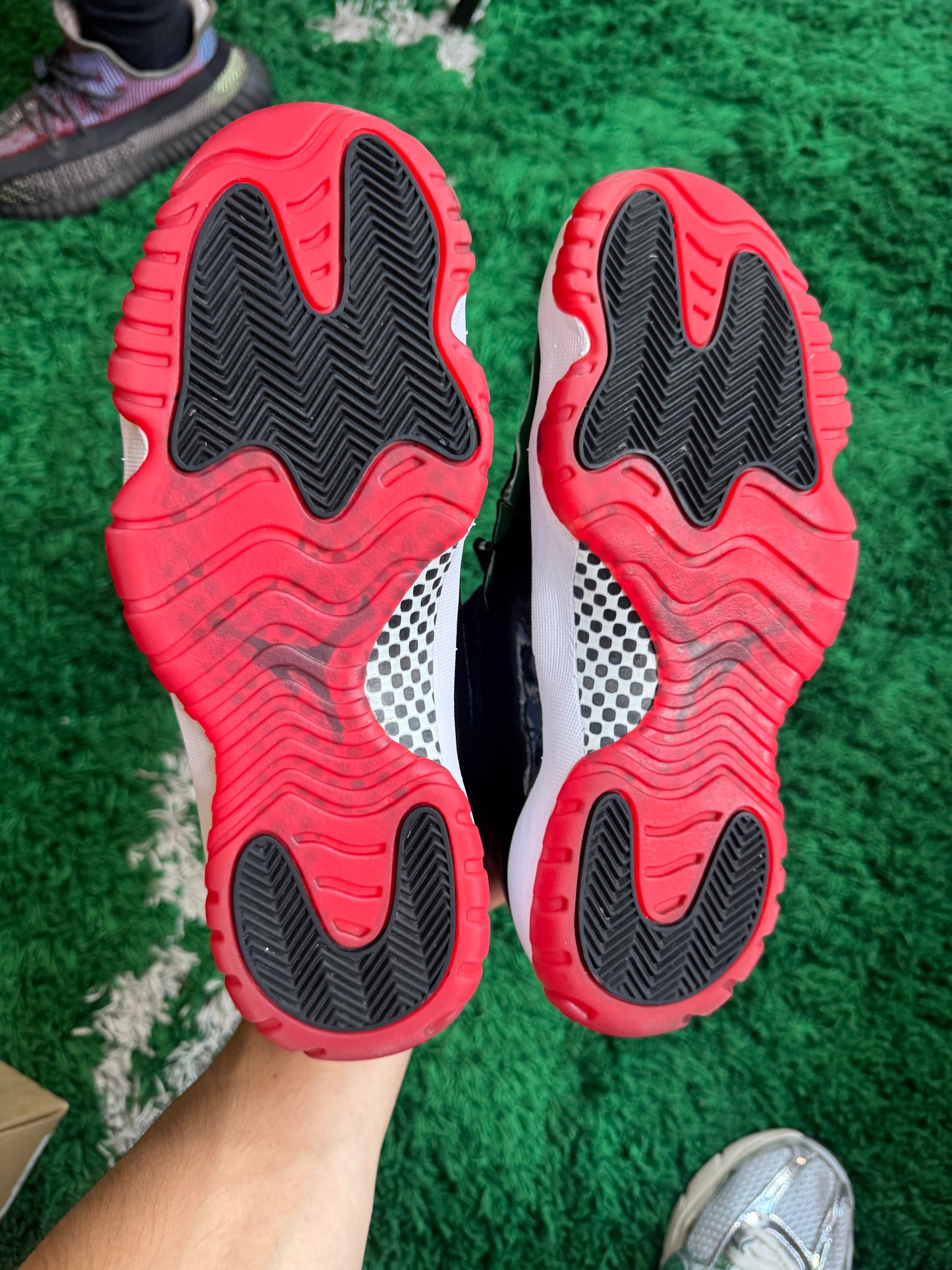Jordan 11 “Bred” (2019)