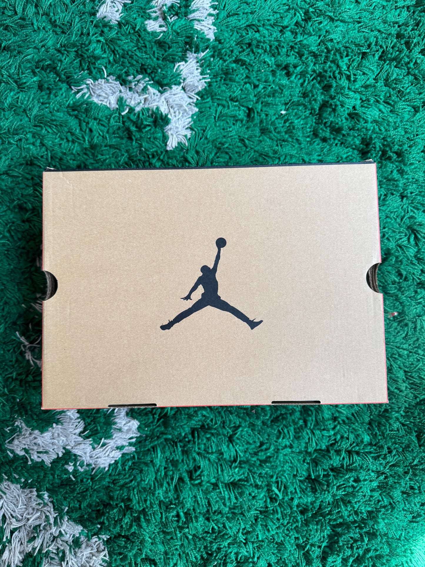 Jordan 12 “The Master”