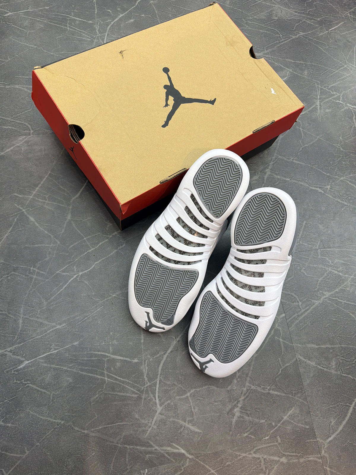 Jordan 12 Retro Stealth