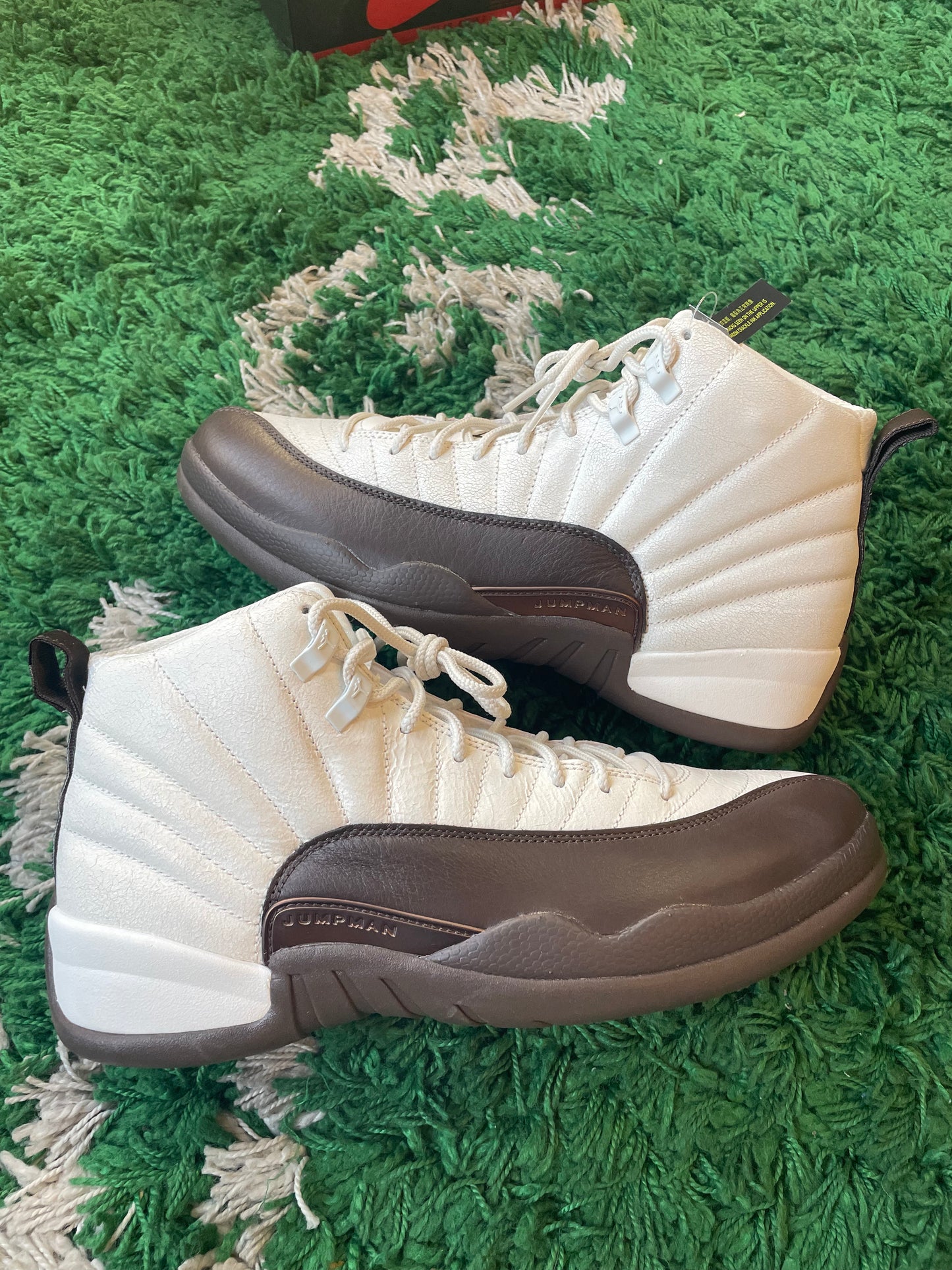 Jordan 12 “SoleFly”