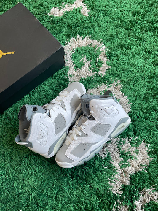 Jordan 6 “Cool Grey”